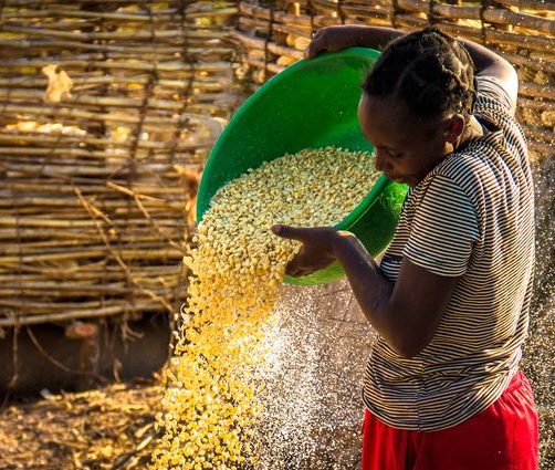 Uganda Export Earnings Rise 10.2% as Gold Shipments Surge