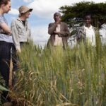 The System Kenyan Ag-Tech Keeps Ignoring