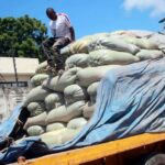 South Africa Eyes China as Record Soybean Harvest Boosts Export Opportunities