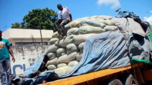 Zambia Lifts Maize Export Ban to Boost Farmer Incomes