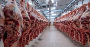 Egypt Opens New Export Market for South African Red Meat