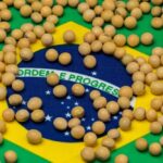 Expanding Brazil-Africa Trade