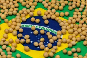 Expanding Brazil-Africa Trade