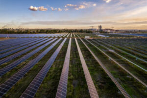 Solar Power Exports Highlight Africa’s Growing Role in Global Supply Chains
