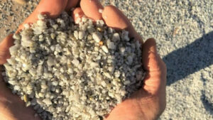 Zimbabwe Grants Lithium Export Quota to China’s Yahua Group