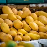 Philippines Seeks South African Market Access for Mango Exports