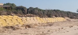Mozambique Moves to Tighten Mining Control with 15% State Stake, Export Ban