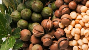 South Africa Targets New Markets to Expand Macadamia Exports