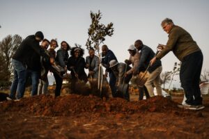 Tourism Plants Its Future: Green Lung Expands to Kzn Ahead Of Indaba