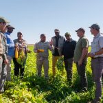 Gaza Province Aims To Replace South African Vegetable Imports
