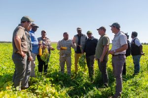 Gaza Province Aims To Replace South African Vegetable Imports