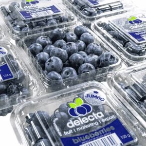 Zimbabwe Ships First-Ever Blueberry Consignment to China