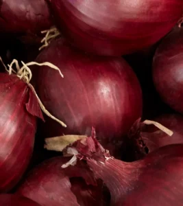 Morocco Reopens Onion Exports to African Markets Amid Ongoing Transport Challenges