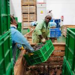 African Exporters Benefit From China’s Zero-Tariff Policy as Trade Expands