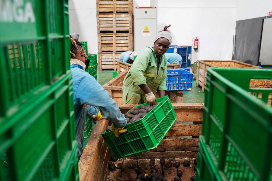 African Exporters Benefit From China’s Zero-Tariff Policy as Trade Expands