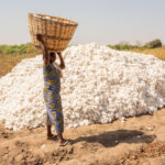 Benin Turns Cotton Into a Local Manufacturing Opportunity