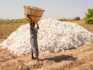 Benin Turns Cotton Into a Local Manufacturing Opportunity