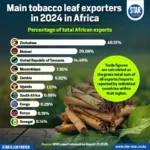 Zimbabwe Leads Africa’s Tobacco Leaf Exports With 48.5% Market Share