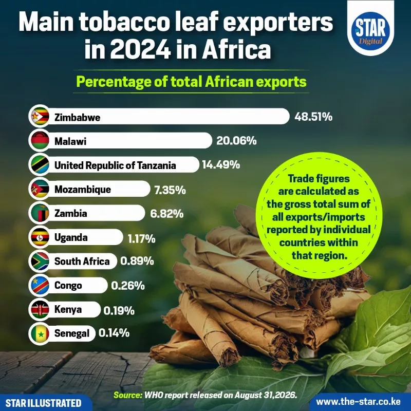 Zimbabwe Leads Africa’s Tobacco Leaf Exports With 48.5% Market Share